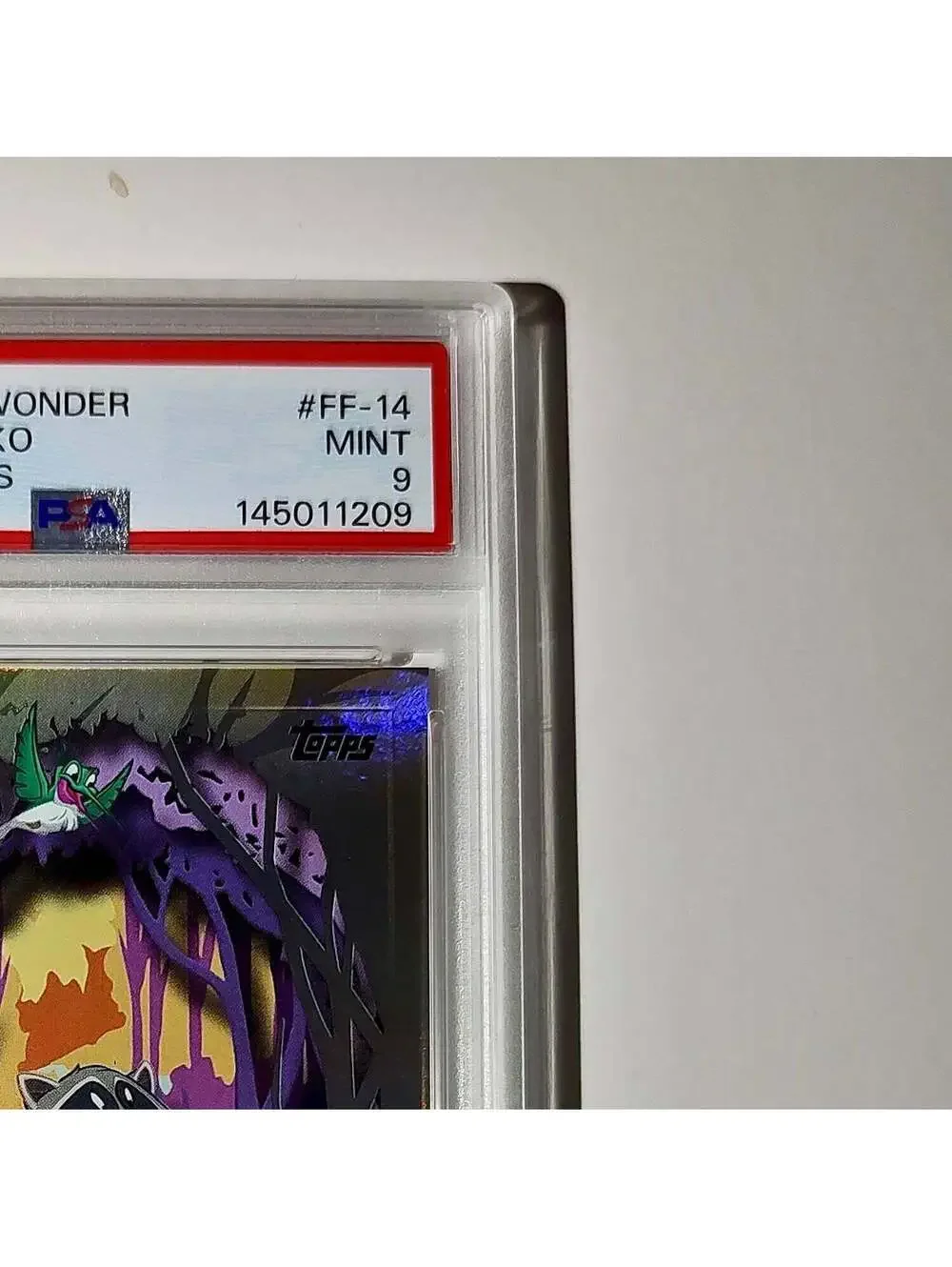 Flit and Meeko 2025 Topps Disney #FF-14 Furry Friends Card Pocahontas PSA 9 MT